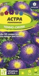 Астра Помпонная Темно-синяя Семена Алтая