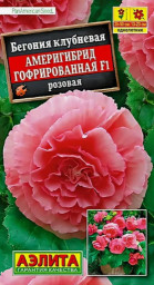 Бегония Америгибрид гофрированная F1 розовая Драже 5шт Аэлита