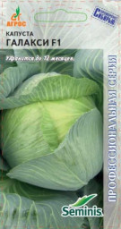 Капуста б/к Галакси F1 15шт Агрос