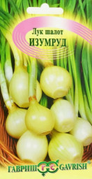 Лук шалот Изумруд 0,1гр Гавриш