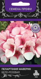 Пеларгония Маверик Бело-розовая 5шт ПЦцп