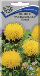 Василек крупноголовый Желтый Поиск