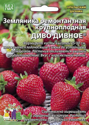 Земляника Диво дивное - ремонтантная 10шт УД
